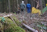 Linkziel: Link zum Beitrag mit dem Thema Darf ich im Wald Holz sammeln? Was Waldbesuchende beim Holzsammeln wissen sollten.; Bildinhalt: Im Vordergrund: Restholz aus Zweigen, Ästen und Reisig. Im Hintergrund: Waldbesuchende mit Hund