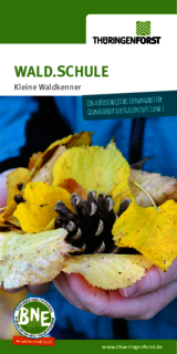 Linkziel: Link zum Beitrag mit dem Thema WALD.SCHULE Kleine Waldkenner; Bildinhalt: Flyer kleine Waldkenner als PDF herunterladen