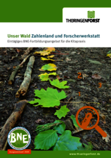 Linkziel: Link zum Beitrag mit dem Thema Unser Wald Zahlenland und Forscherwerkstatt; Bildinhalt: Download der Fortbildung als PDF