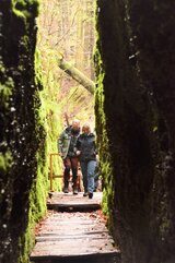 Linkziel: Link zum Beitrag mit dem Thema Wandertourismus in Thüringen auf gutem Weg; Bildinhalt: 