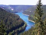 Linkziel: Link zum Beitrag mit dem Thema Klimawandel und Wald: Auch Forstwege betroffen ; Bildinhalt: Blick auf die Talsperre mit Nadelwald rundherum.