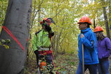 Linkziel: Link zum Beitrag mit dem Thema Baum fällt – Profiholzernte hautnah erleben; Bildinhalt: Ein Waldarbeiter steht in seiner Ausrüstung vor einem Markiertem Baum und erklärt den Besuchern etwas.