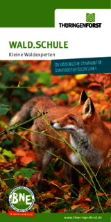 Linkziel: Link zum Beitrag mit dem Thema WALD.SCHULE Kleine Waldexperten; Bildinhalt: Download kleine Waldexperten Flyer PDF