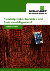 Linkziel: Link zum Beitrag mit dem Thema Waldumbau; Bildinhalt: 