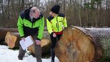Linkziel: Link zum Beitrag mit dem Thema Nachfrage nach Wertholz ungebrochen; Bildinhalt: Forstministerin Susanna Karawanskij (re.) begutachtet mit ThüringenForst-Vorstand Volker Gebhardt einen Eschenstamm