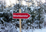 Linkziel: Link zum Beitrag mit dem Thema Tipps für und um den Weihnachtsbaum; Bildinhalt: Schild Weihnachtsbaumverkauf