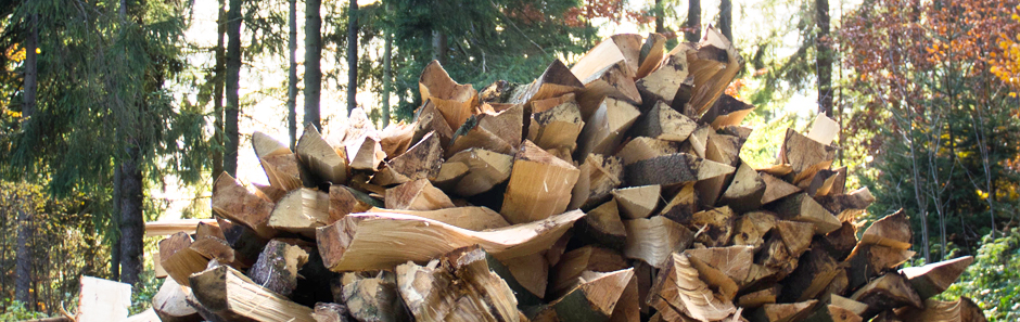 Brennholzstapel im Wald vor einem herbstlich gefärbtem Mischwald