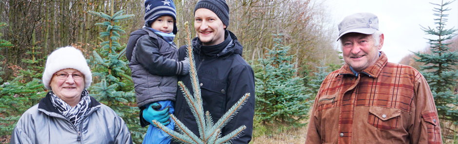 Junger Vater mit seinem kleinen Sohn auf dem Arm, daneben Oma und Opa. Sie haben einen selbst geernteten Weihnachtsbaum vor sich stehen und freuen sich