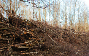 große Haufen aufgeschichter Äste und Zeige im Wald