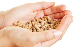 Holzpellets in einer Hand gehalten