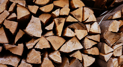 Blick auf ein Bündel Brennholz