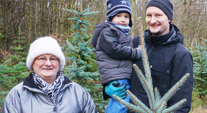 Eine Familie mit Oma beim Weihnachtsbaumkauf in einer Plantage