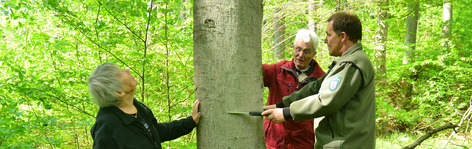 Ein Förster vermisst im Beisein von zwei Waldbesitzenden einen Baum. Die Waldbesitzenden schauen den Baum prüfend an.