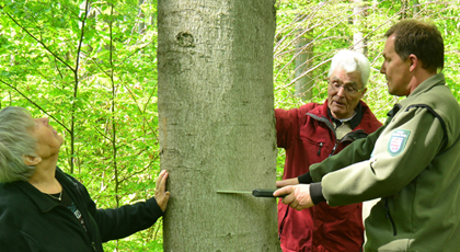 Beratung & Betreuung, Dienstleistung