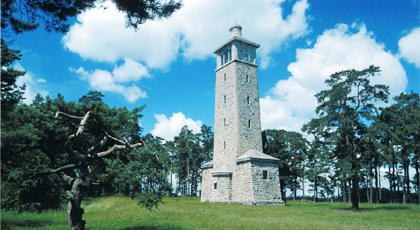 Historischer Turm aus grauem Stein, ca. 5 Etagen hoch, auf der Spitze oben ein aufgesetztes Türmchen. Der Turm steht auf einer Waldlichtung bei schönem Sonnerwetter.