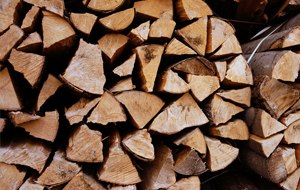 Aufgeschichtetes Brennholz