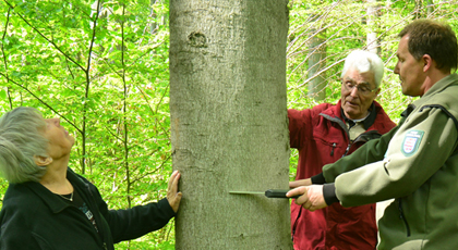 Ein Förster berät zwei einen Baum begutachtende Waldbesitzer
