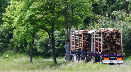 Voll beladener Holzlastwagen auf einer Landstraße in sommerlich grüner Landschaft