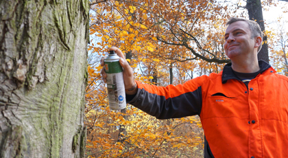 Junger Mann markiert mit Farbspray einen Baumstamm im Wald