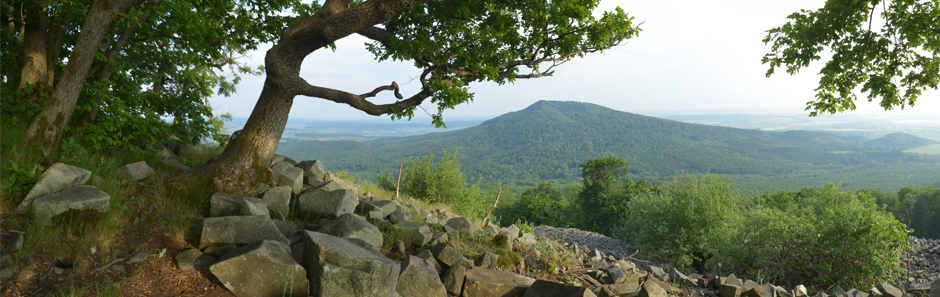 Blick von einem höher gelegenen urtümlichen Waldstück hinüber auf eine bewaldete Berkuppe im Thüringer Wald