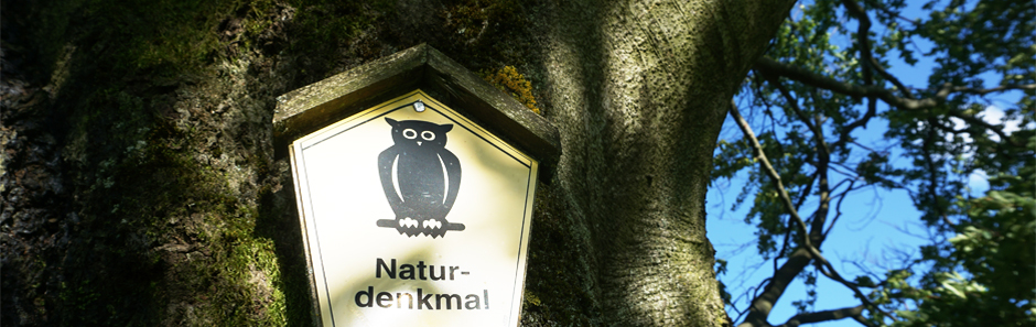 Naturschutzschild mit Eule an einem sehr dicken Eichenbaumstamm