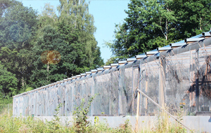 Blick auf ein Außengehege für Vögel