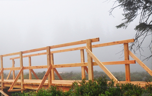 Blick auf einen Holzpfad in ein Moor ragend bei Nebel