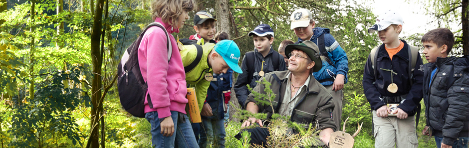 Ein Förster erklärt einer Gruppe Schüler im Wald etwas an einem Bäumchen