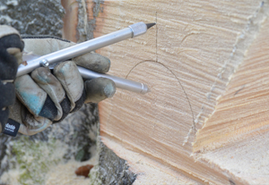 Forstwirt markiert mit einem Zirkel die Schnittfläche eines Baumstammes