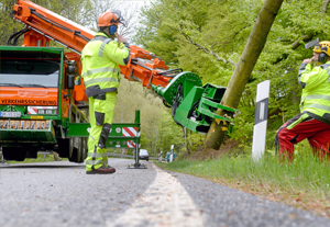 Zwei Arbeiter in Neonkleidung sichern die Stelle auf einer Landstraße, an der ein Baum gefällt wird