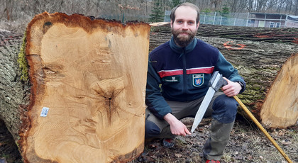 Junger Förster in moderner Dienstkleidung kniet neben einem dicken Submissionsholzstamm