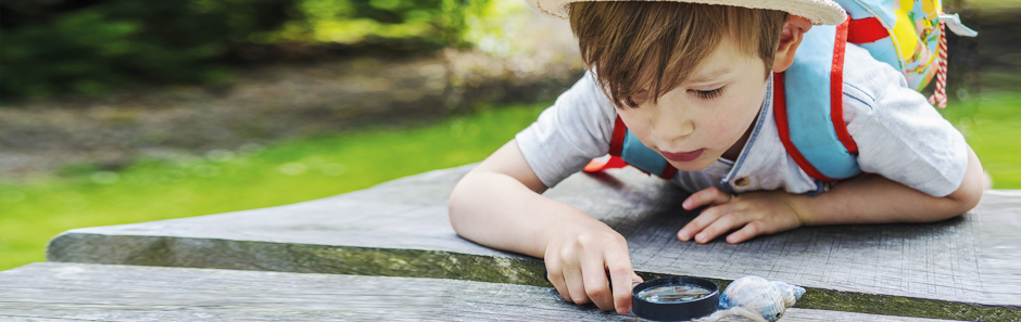 Kleiner Junge betrachtet eine Holzoberfläche aufmerksam mit einer Lupe. Er trägt Sommerkleidung und einen Rucksack und befindet sich draußen in der Natur.