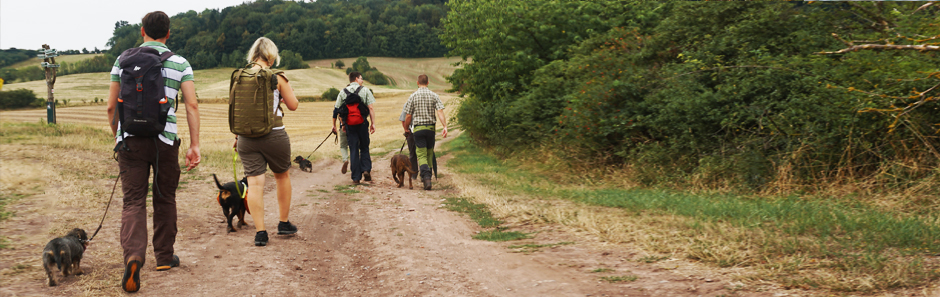 Wanderer mit Rucksack und Dackeln laufen einen Wanderweg zwischen Wiesen und Wäldrändern entlang