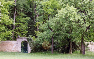 Garten mit grüner Wiese, rustikelder Steinmauer mit Durchgangsbogen zu einem einladenen grünen Laubwald