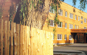 Moderner Flachbau mit Holzfassade. Davor steht ein Baum.