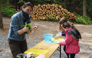 Eine Frau steht mit zwei Mädchen im Wald an einem Holztisch und zeigt ihnen ein Bündel Kräuter. Die Mädchen untersuchen dieses interessiert.