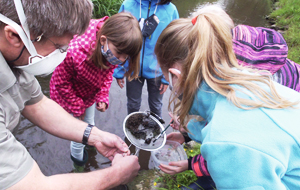 Ein Förster steht mit Kindern am Wasser und zeigt in einem Sieb, was er aus dem Teich gefischt hat. Die Kinder schauen interssiert in das Sieb.
