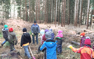 Förster mit Schulkasse im Nadelwald unterwegs
