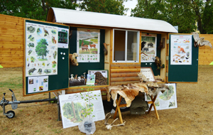 Kleiner Bauwagen aus Holz. Die Wände sind ausgeklappt, so dass sich die reichhaltige Ausstattung mit forstlichen Lehrmaterialien zeigt.