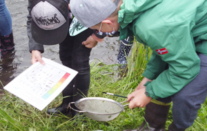 Zwei Jungen stehen am Wasser und untersuchen das, was sie aus dem Wasser gefinscht haben in einem Sieb. Einer von ihnen hält eine Liste in der Hand. Sie vergleichen ihren Fang mit der Liste.