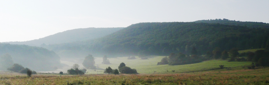 Hügelige Landschaft, bewaldet und umsäumt von Wiesen